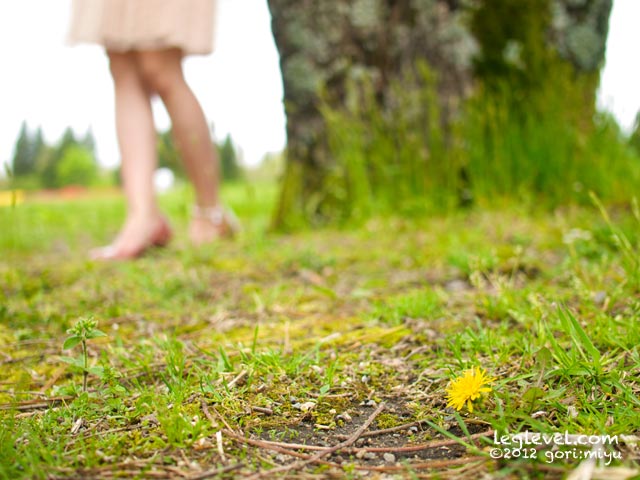 leglevel：大分県竹田市くじゅう花公園をちょっと変わった写真で紹介：足の写真：大分と足の写真集 leglevel.com：大分：足：写真：大分県：足の写真：風景写真：モデル