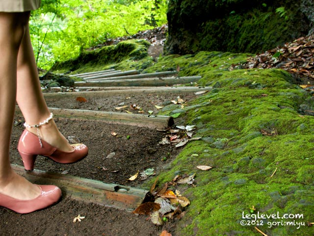 豊後大野市 普光寺（アジサイ寺）：大分と足の写真集 leglevel.com：大分：足：写真：大分県：足の写真：風景写真：モデル
