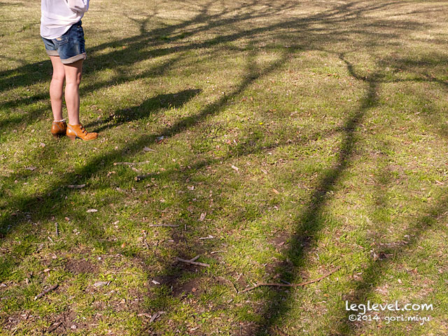 志高湖 冬：大分と足の写真集 leglevel.com：大分：足：写真：大分県：足の写真：風景写真：モデル