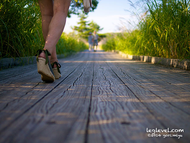 玖珠郡九重町　長者原 タデ原湿原　逆光　斜光：大分と足の写真集 leglevel.com：大分：足：写真：大分県：足の写真：風景写真：モデル